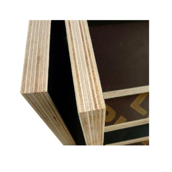 18mm Brown Anti Silp Film Faced Plywood Hardwood With Logo