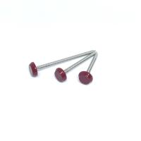 Acier inoxydable A2 Ring Nails Nylon annulaire PA6 de 65MM