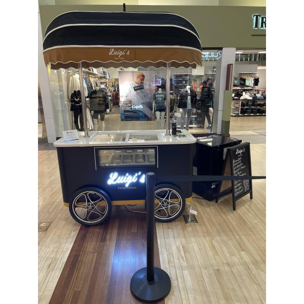 OEM CE Approved 4 Wheels Cargo Bike with Freezer Food Vending Carts for Sale Ice Cream Electric Tricycle