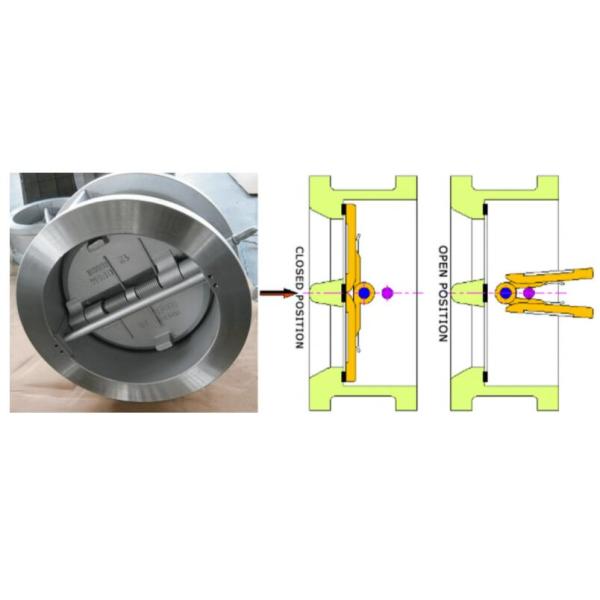 Pn16 200# Threaded 316 Stainless Steel Threaded 316 Ss Flanged End Check Valve