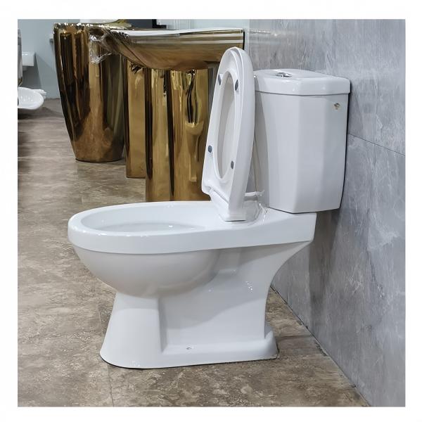 Dual-Flush Traditional Design Comfortable Washdown Water Closet Toilet Seat for Bathroom