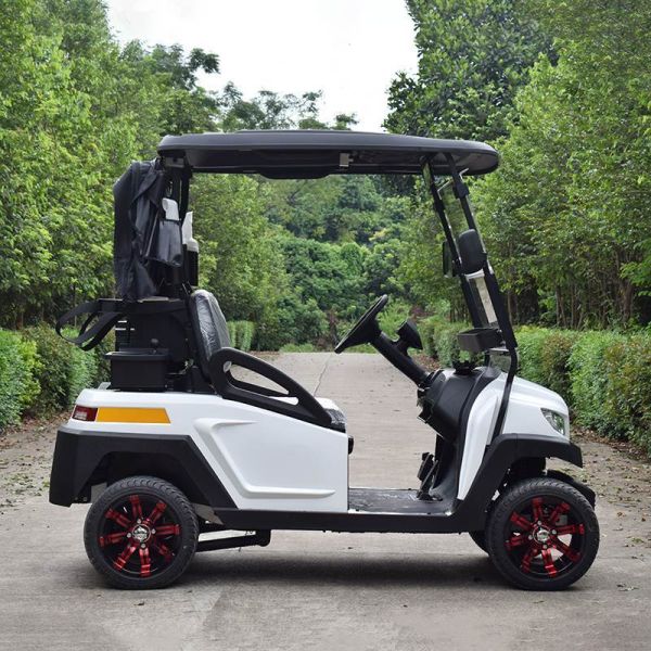 Electric Golf Car With USA Lead - Acid Wet Batteries