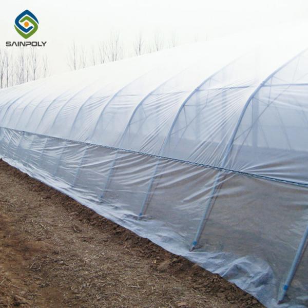 0.20mm Cucumber Plant Pe Film Single Span Greenhouse