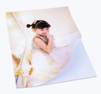Papel autoadesivo da foto do Inkjet de A3 135gsm para Albulm