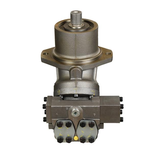 Large Inventory of A2fe Series Original Hydraulic Motor for Rexroth 85kg