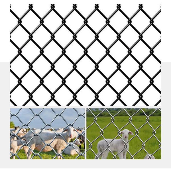 Material Galvanized Iron Wire Or PVC Coated Iron Wire PVC Sprayed Electric Galvanized Chain Link  Fence