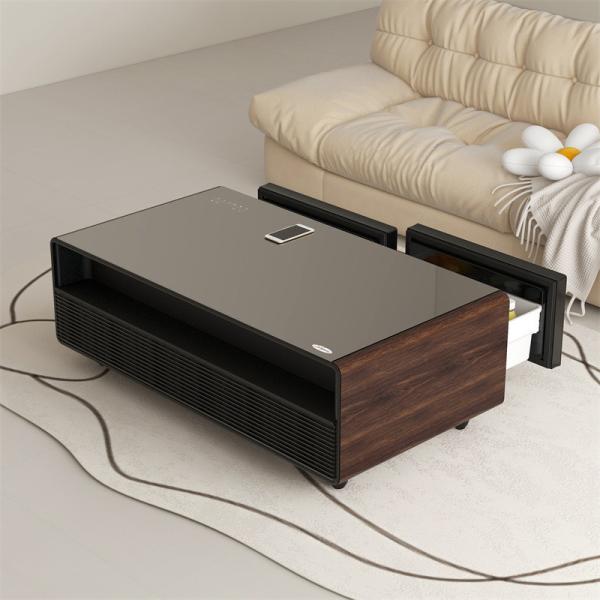 135L Storage Coffee Table Refrigerator for Living Room Furniture Performance