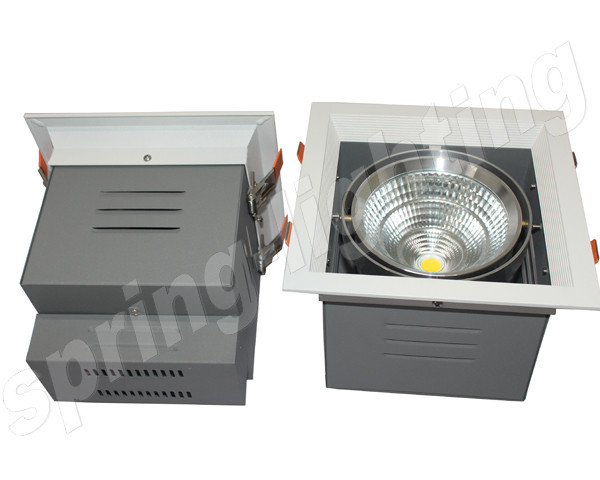 High Lumen 30W LED Beans Gall Light , LED Down Light Fixtures For Park