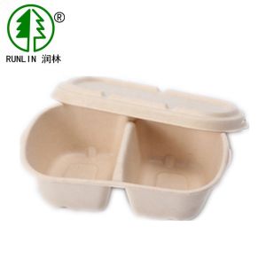 Bagasse Food Containers