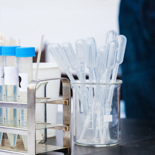 Laboratory Graduated Transfer Pasteur Pipette 0.2mL 3mL Plastic Disposable Pasteur Pipette