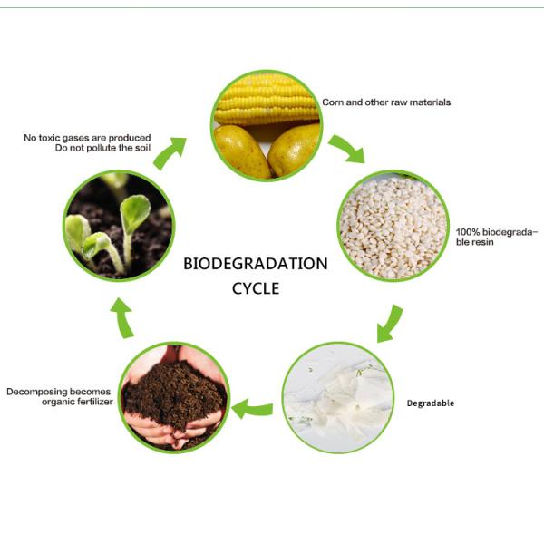 Eco Friendly PBAT Biodegradable Plastic Packaging Customized Printed 100% Compostable