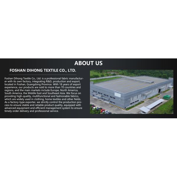 Foshan Dihong Textile Co., Ltd.