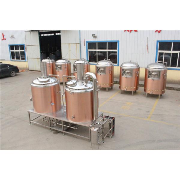 Red Copper / SS Tank Small Brewery Equipment 500L 380V/220V 60HZ Power