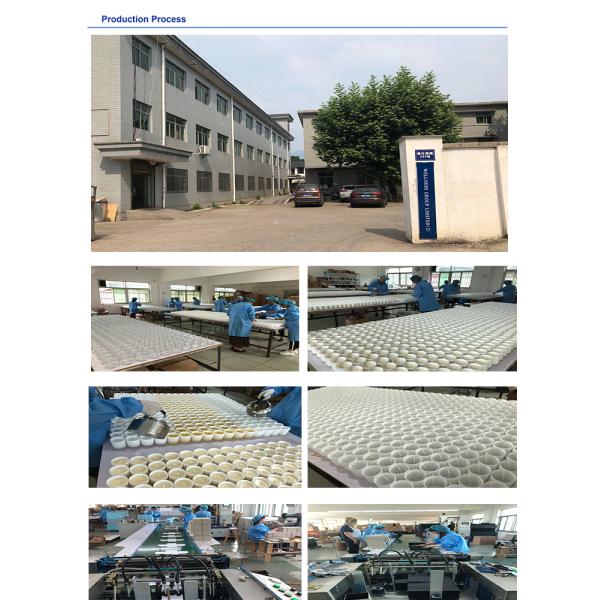 Shanghai Wellness Crafts Co,. Ltd.