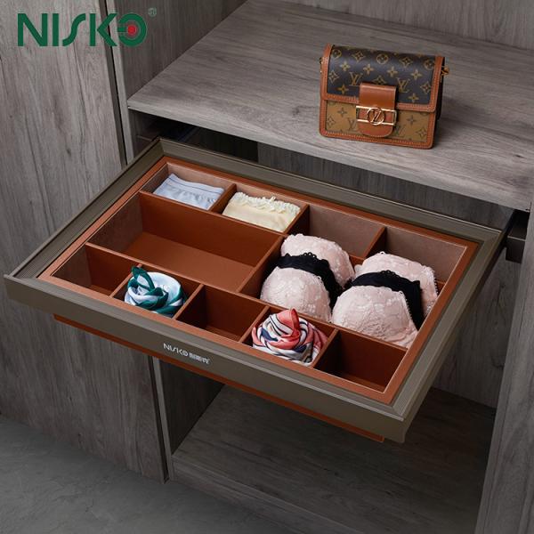 Cesta extraíble oculta para guardar ropa interior, sujetadores y lencería en el armario