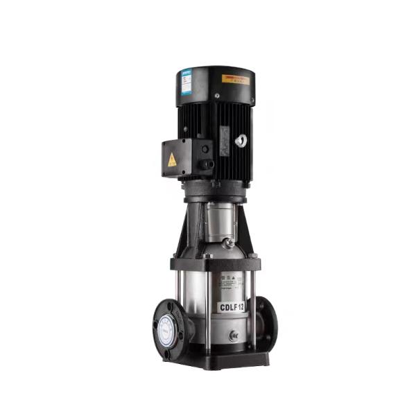 Multistage Centrifugal Pump Stainless Steel Vertical Multistage Centrifugal Pump for Water Treatment Machinery