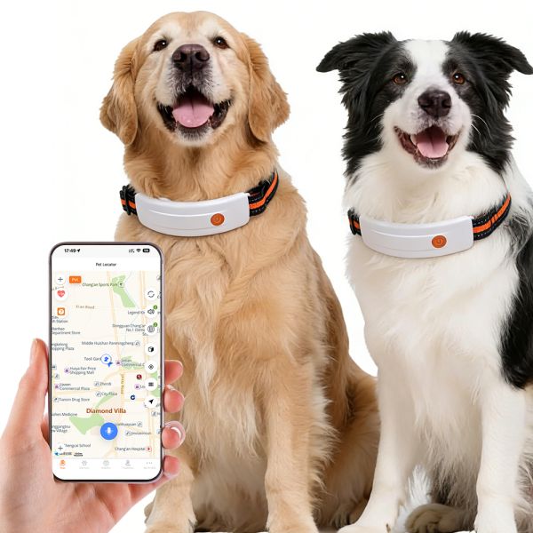 Smart Pet Products Delivering Global 4G Ubiquitous Tracking for Real Time