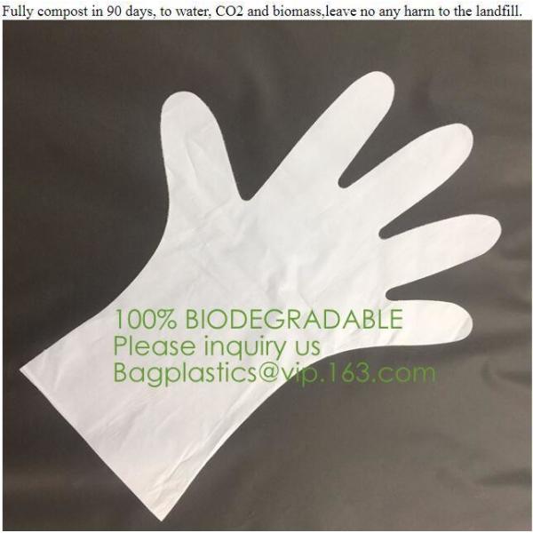 майцена сделала 100% biodegradable compostable изготовленный на заказ напечатанный полиэтиленовый пакет с собственным логотипом, ecofriendly упаковывая ба футболки