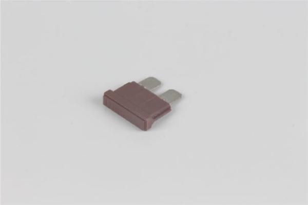 125VAC Electric Vehicle Fuses , Fast Acting 40 Amp Dc Fuse Electric Wood Shell