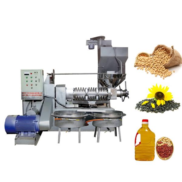 машина прессы масла винта сои 30kw горячий отжимать 380V