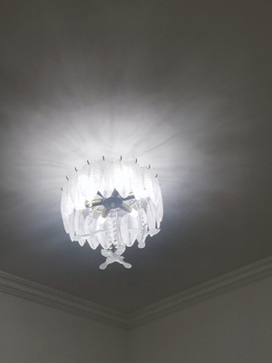 Creative Glass Feather Chandelier Modern Living Bedroom Kitchen Island Hanging(WH-CY-252)