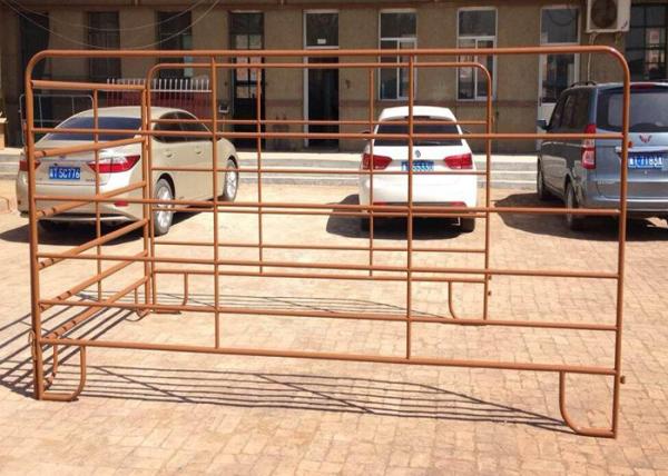 Galvanized Oval Pipe Cattle Fence Panel For Farm 40X80MM x1.6mm