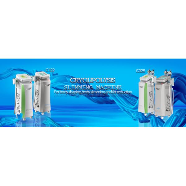 cryolipolysis simming machine 5 in 1 cryolipolysis slimming machine equipment