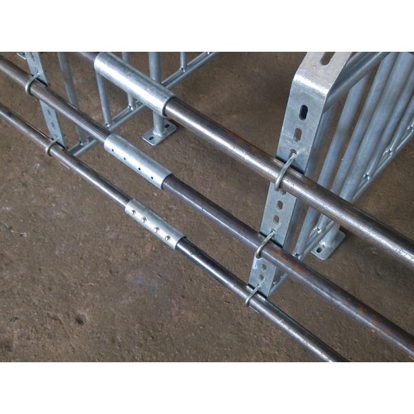 Durable Steel Iron Hog Gestation Stalls , Gestating Pen For Livestock