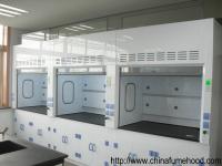 Fiber Reinforced Laboratory Fume Cupboard Practical Multipurpose