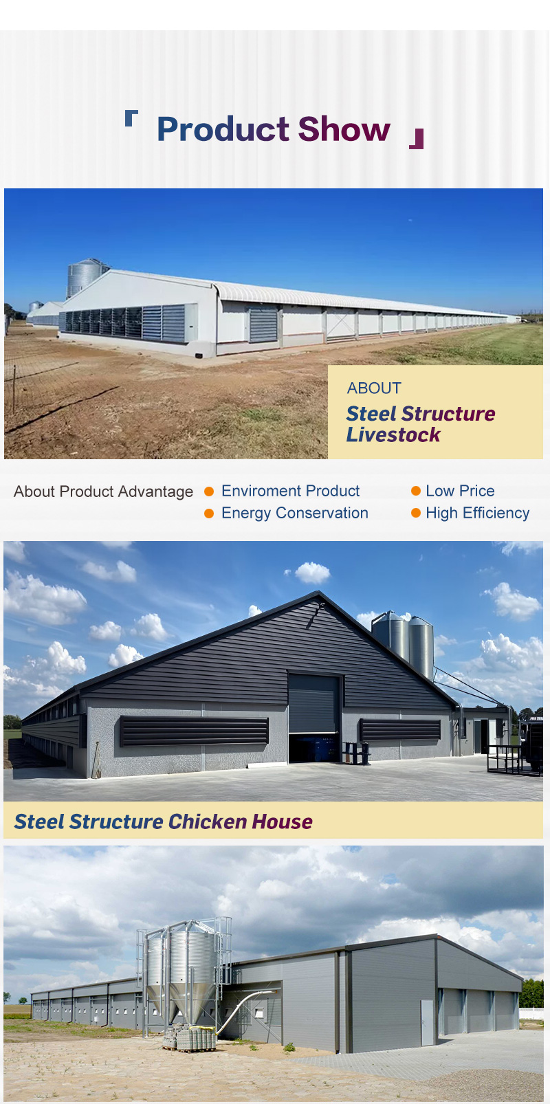 Modern Q355B Grade Metal Frame Building Poultry Farm Structure Long Life Span