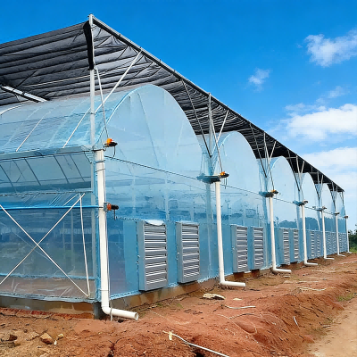 Customized Agricultural Steel Frame Buildings Corrosion Resistant