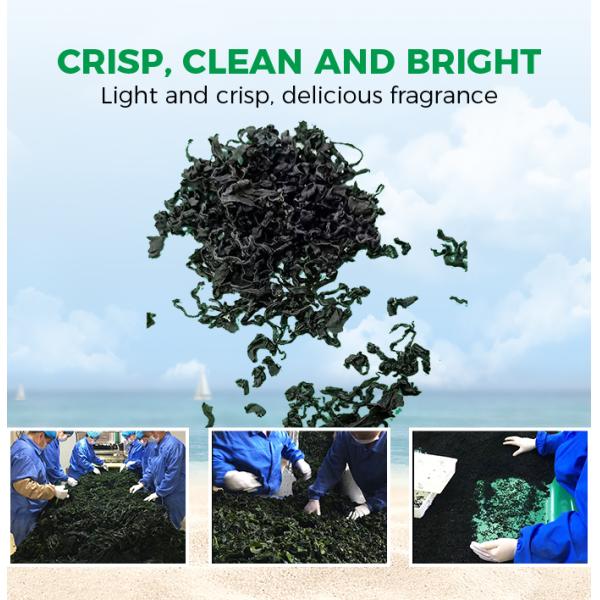 Dehydrated Vegetables Drying Laver 20Kg 0.5Cm Bulk Packaging and Cutting Seaweed Dried Wakame