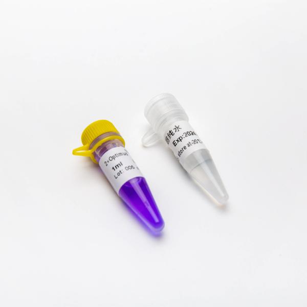 Optimus Taq Hot Start Polymerase 5ml PCR Master Mix P2042