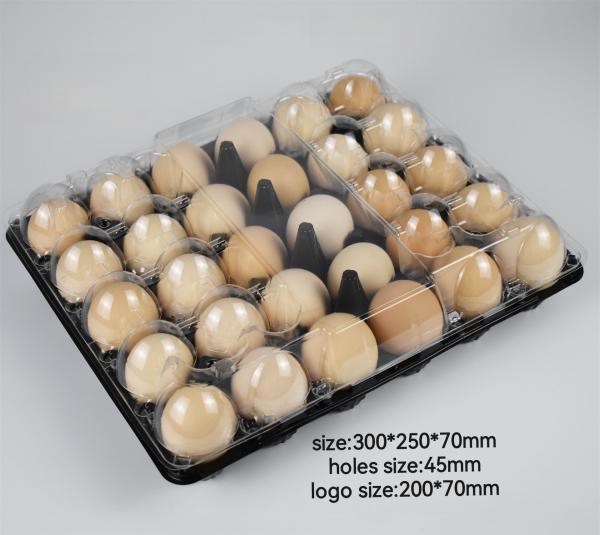 30 Hole Egg Carton Plastic Tray Customized With Egg Bottom And Lid Separated