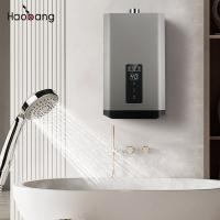 Affordable Forced Exhaust Gas Water Heater Homeland Function G1/2'' Gas Inlet 220V / 110V
