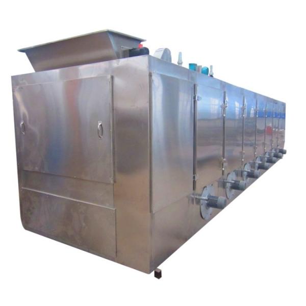 Continuous Industrial Conveyor Mesh Belt Dryer For Vegetable Seaweed Herb Coconut