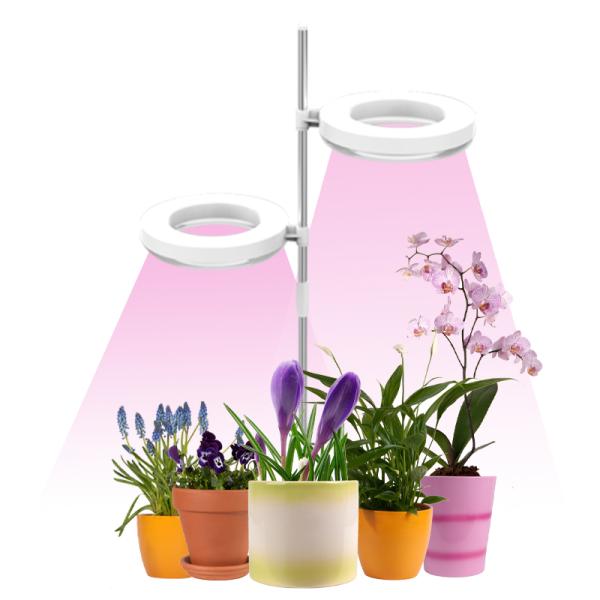 12W USB Ground Plug Light for Plants Growth Professional Manufacturers Suppliers