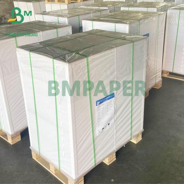 28'' x 40'' & 25'' x 38'' Glossy Finish C2S Cover 80# 100# For Printing Coupons