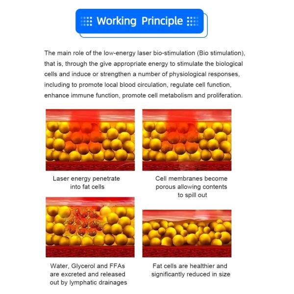 6 длины волны 6d липополимер для похудения тела