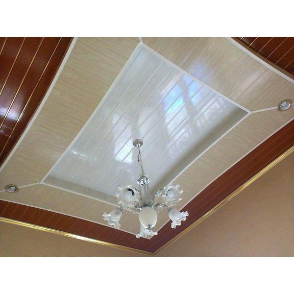Durable Decorative Plastic Wall Covering / Decorative Ceiling Panels Plastic