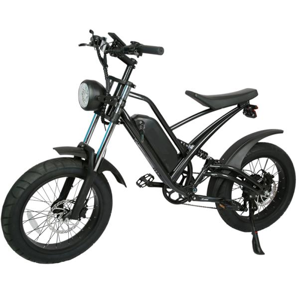 DOMANCA 750W High Speed Dirt Bike Off-road Fat Tire Ebike Customized E Bike Motorcycle