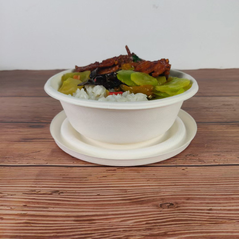 Full Payment Biodegradable Disposable Sugarcane Paper Pulp Molding Soup Salad Bowl