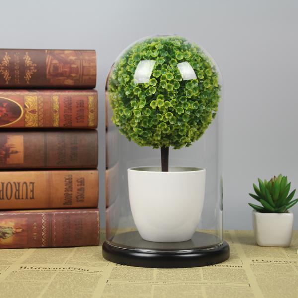 Handmade Borosilicate D3.94xH6.3 Inch Glass Cloche Dome
