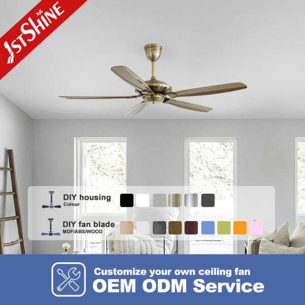 Ventilateur de plafond à moteur réversible DC de 57 pouces ABS avec économie d'énergie de classe A