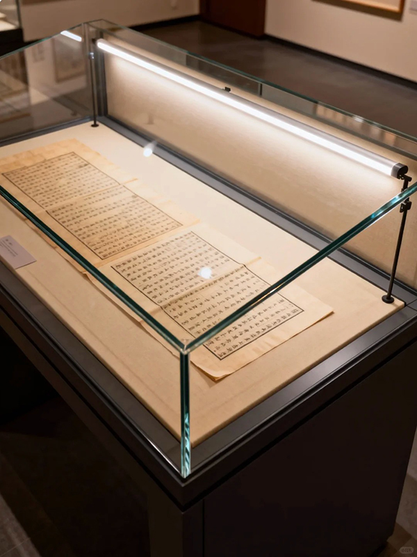 Sealed Museum Display Case With UV-Blocking Glass And Adjustable LED Light For Gallery Exhibits