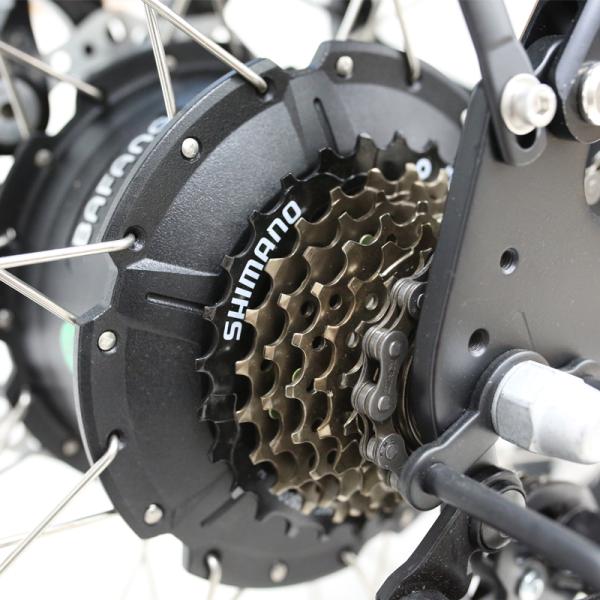 Rear Hub Motor Braking System 20 Inch 1000w High Power Electric Fatbike for Adults