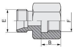 Трубопроводы соединяют высокое давление метрический женский / Bsp женский гидравлический прикус тип фитингов 5cm 5CB