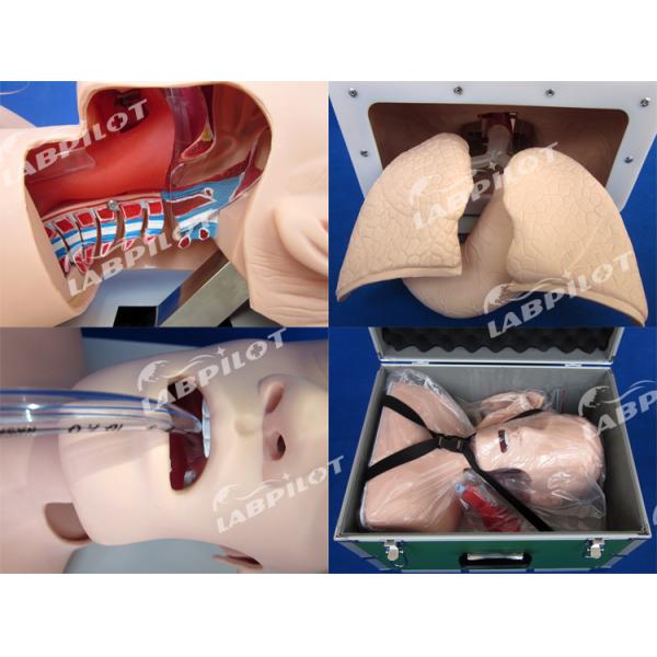 Electronic Tracheal Intubation Training Model with Inflatable Lung NG Tube and Suction Simulator Ideal