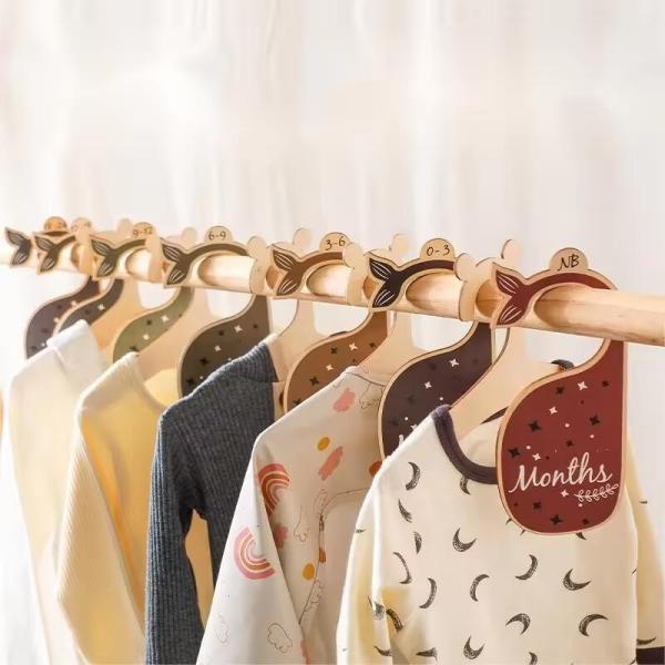 Double Sided Newborn Baby Cloth Divider Card 24 Month Bedroom Closet Divider