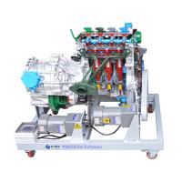 Nouveau modèle d'équipement anatomique de voiture à énergie par COROLLA
